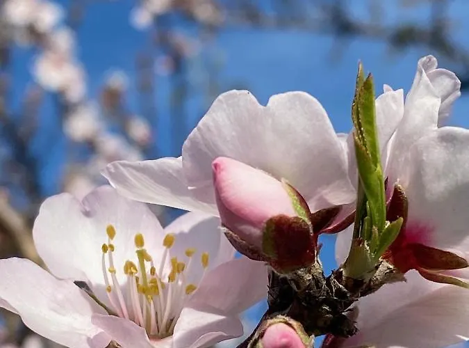 Apartament Casa Do Cerro